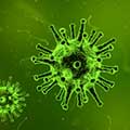 Arc – ein Virus hilft uns beim Lernen