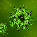 Arc – ein Virus hilft uns beim Lernen