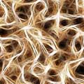 Neuronen Power – Warum es sich lohnt deine Synapsen neu zu strukturieren