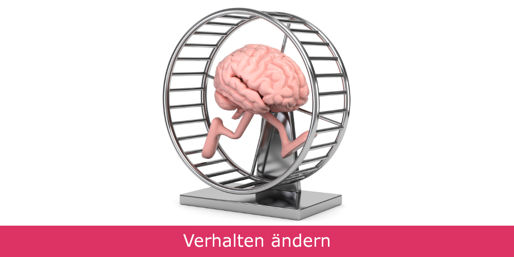 Gehirn im Hamsterrad.